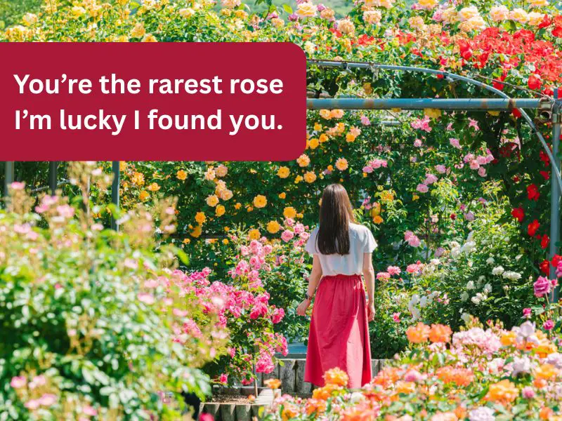 You are the rarest rose and i am lucky i found you