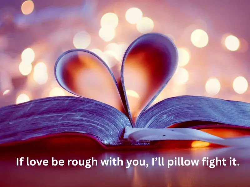 i will pillow fight with you