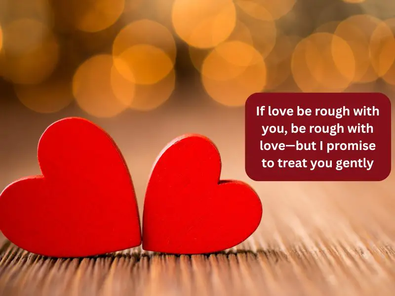 if love be rough