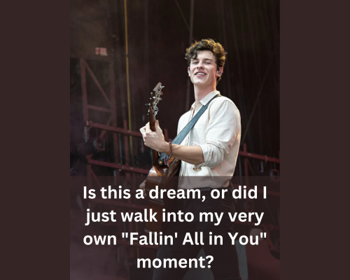 Shawn mendes pick up lines