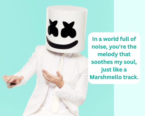 In-a-world-full-of-noise-youre-the-melody-that-soothes-my-soul-just-like-a-Marshmello-track