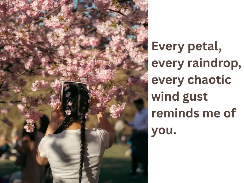 every petal and raindrop reminds me of you pickup