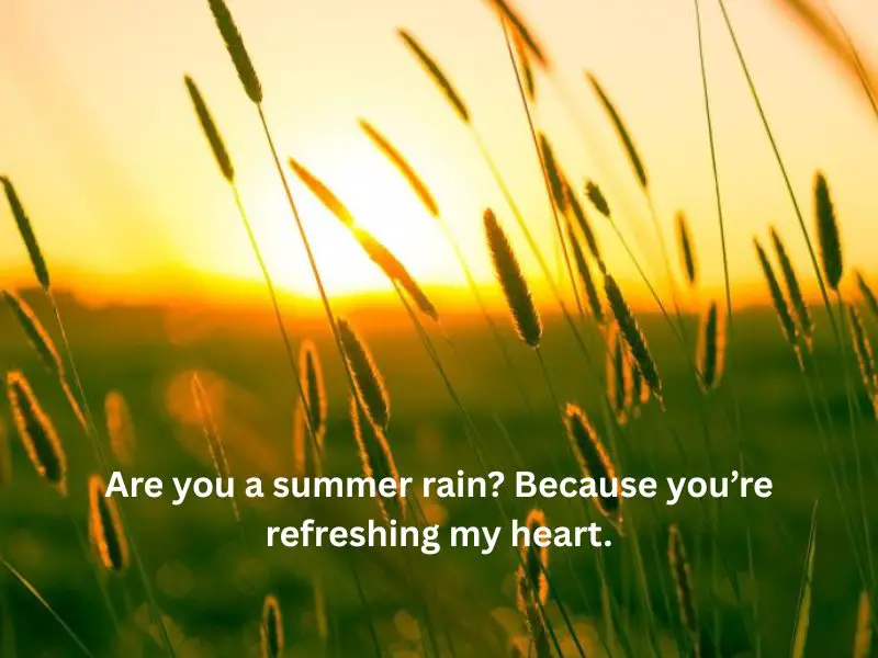 summer rain pickup