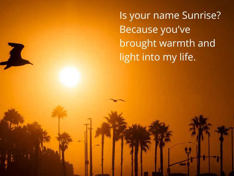 Sunrise bring warmth and light